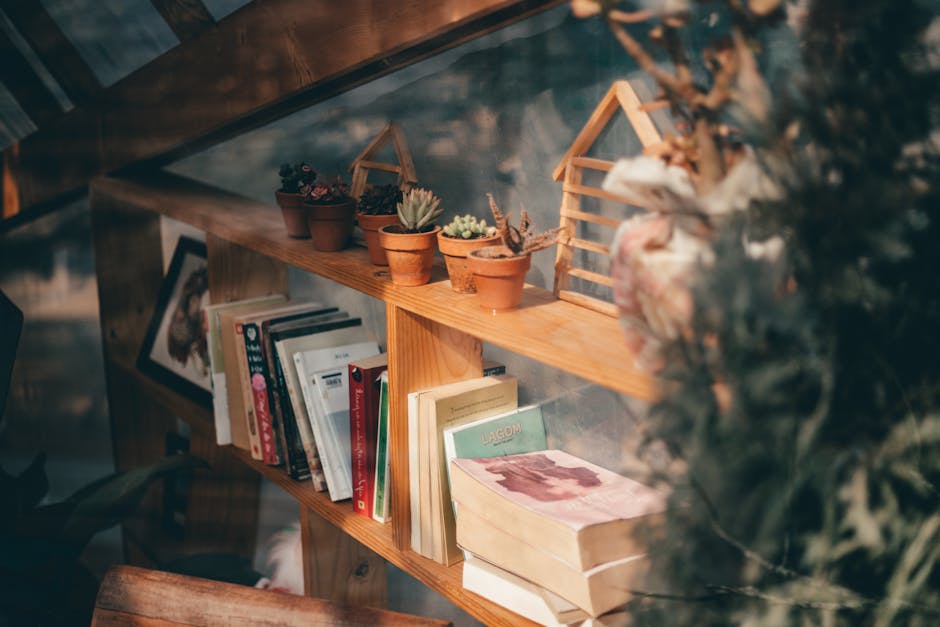 Estanteria con libros legales y planta cerca de la ventana